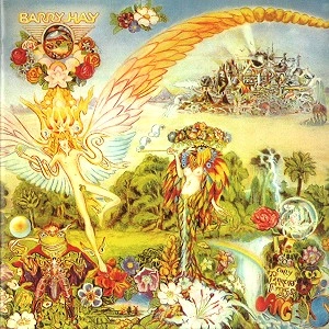 BARRY HAY / バリー・ハイ / ONLY PARROTS, FROGS & ANGELS