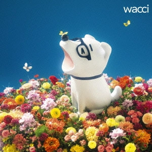 wacci /  L     L