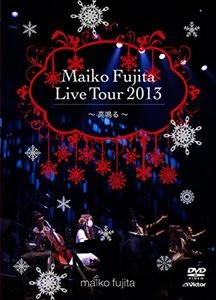 MAIKO FUJITA / 藤田麻衣子 / LIVE TOUR 2013