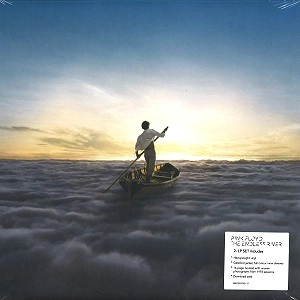 PINK FLOYD / ピンク・フロイド / THE ENDLESS RIVER