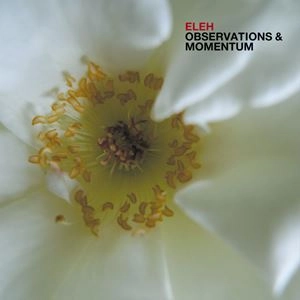 ELEH / NANA APRIL JUN / OBSERVATIONS & MOMENTUM