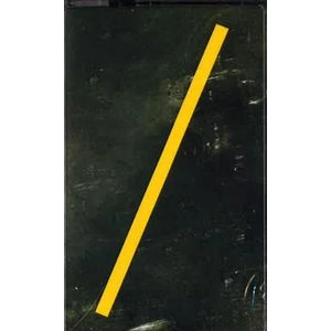 THROWING MUSES / スローイング・ミュージズ / PURGATORY / PARADISE