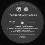 BRAND NEW HEAVIES / ブラン・ニュー・ヘヴィーズ / YOU ARE THE UNIVERSE