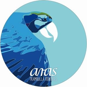 ANDRE GALLUZZI & DANA RUH / TRAMBOLLA REMIXES