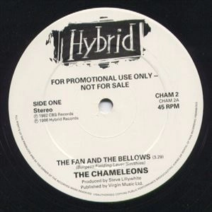 CHAMELEONS / カメレオンズ / FAN AND THE BELLOWS