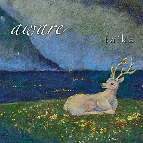 TAIKA / タイカ / ａｗａｒｅ / AWARE