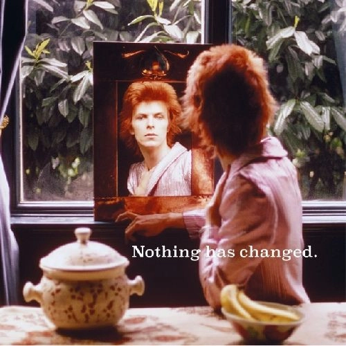 DAVID BOWIE / デヴィッド・ボウイ / NOTHING HAS CHANGED [2LP]
