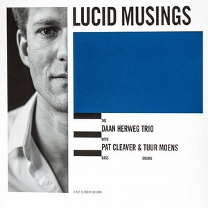 DAAN HERWEG  / ダーン・ハーウェグ / ルシッド・ミュージングス / LUCID MUSINGS