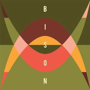 BISON (PAUL MURPHY/HOLGER CZUKAY/BJ SMITH) / TRAVELLERS