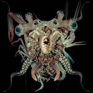 DJ SKULL VOMIT / Ritual Glow