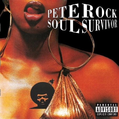 PETE ROCK / SOUL SURVIVOR "LP"