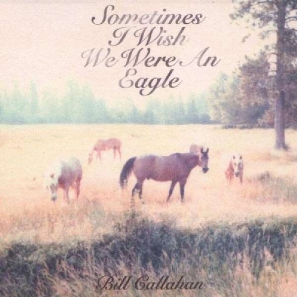 BILL CALLAHAN / ビル・キャラハン / SOMETIMES I WISH WE WERE AN EAGLE