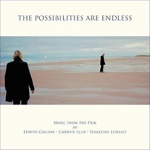 EDWYN COLLINS, CARWYN ELLIS & SEBASTIAN LEWSLEY / POSSIBILITIES ARE ENDLESS