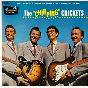 CRICKETS / クリケッツ / CHIRPING CRICKETS