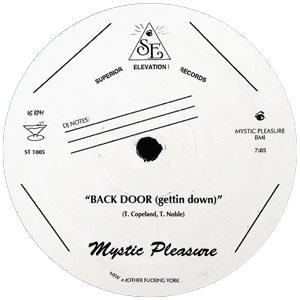 TOM NOBLE & MYSTIC PLEASURE / BACK DOOR