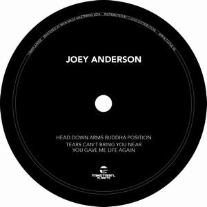 JOEY ANDERSON / ジョイ・アンダーソン / HEAD DOWN ARMS BUDDHA POSITION