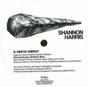 SHANNON HARRIS / INTO THE LIGHT/KINETIC ENERGY