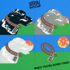 STRAY DOG / ストレイドッグ / 迷える犬＜紙ジャケ/プラチナSHM－CD＞ / WHILE YOU ARE DOWN THERE