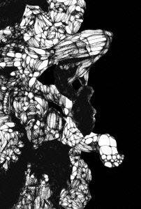 the GazettE / FILM BUG III