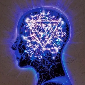 ENTER SHIKARI / エンター・シカリ / MINDSWEEP