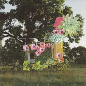 MEDICINE / メディシン / HOME EVERYWHERE (LP) / HOME EVERYWHERE