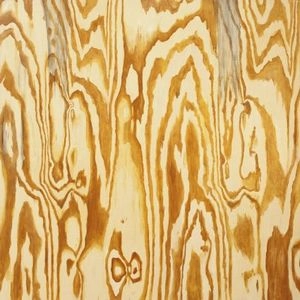 MAZES / メイジズ / WOODEN AQUARIUM