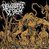 DISFIGUREMENT OF FLESH / ディスフィギュアメント・オブ・フレッシュ / PROMOTIONAL CD 2013