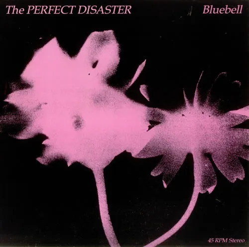 PERFECT DISASTER / BLUEBELL