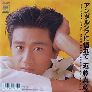 MASAHIKO KONDO / 近藤真彦 / アンダルシアに憧れて