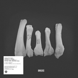 LEIRAS/PETER VAN HOESEN / THESE ANCESTRAL BONES