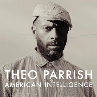 THEO PARRISH / セオ・パリッシュ / AMERICAN INTELLIGENCE