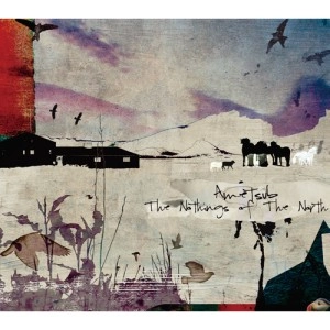 AMETSUB / アメツブ / ＮＯＴＨＩＮＧＳ ＯＦ ＴＨＥ ＮＯＲＴＨ / NOTHINGS OF THE NORTH
