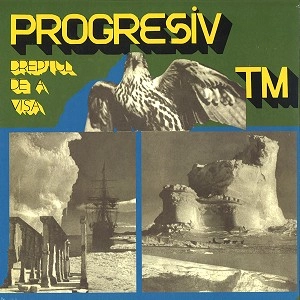 PROGRESIV TM / プログレッシヴ・ティー・エム / DREPTUL DE A VISA