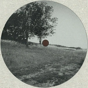 A5 / FIELDS & FORESTS 2