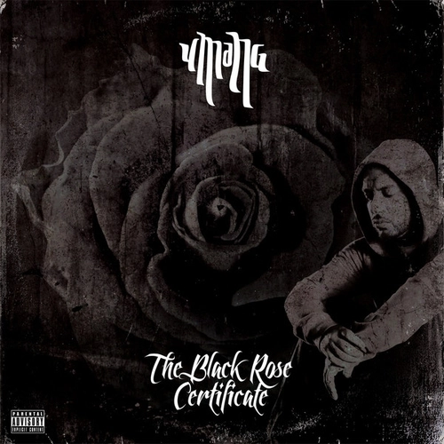UMANG / BLACK ROSE CERRIFICATE