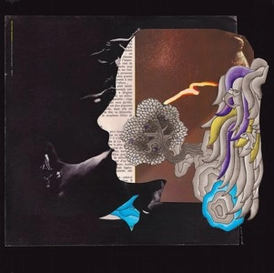 V.A.(DIRTY FRENCH PSYCHEDELICS) / Dirty French Psychedelics(LP)