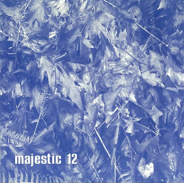MAJESTIC 12 / NOTHING ON T.V