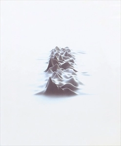 PETER SAVILLE / DESIGNED BY PETER SAVILLE