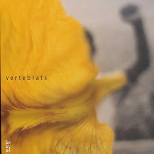 DAVID MENGUAL / デビッド・メンガル / VERTEBRATS