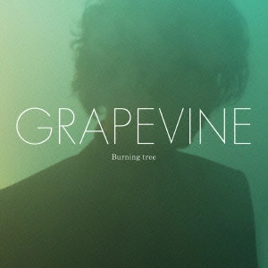 GRAPEVINE / Burning tree / BURNING TREE