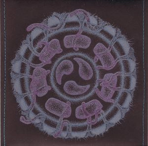EVAN MARC / STEVE HILLAGE / DREAMTIME SUBMERSIBLE