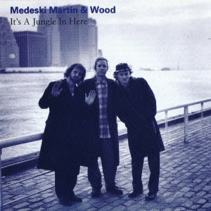 MEDESKI MARTIN & WOOD / メデスキ・マーティン&ウッド / イッツ・ア・ジャングル・イン・ヒア / IT'S A JUNGLE IN HERE
