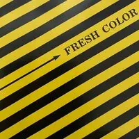 FRESH COLOR / DANCE AROUND