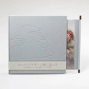 MAX EIDER / マックス・アイダー / 心配しないで 'Don't Worry' （限定盤）