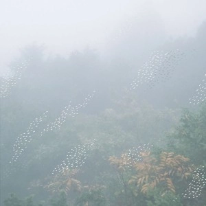 CHIHEI HATAKEYAMA / 畠山地平 / ＭＩＳＴ / MIST