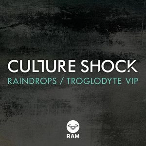 CULTURE SHOCK / RAINDROPS/TROGLODYTE VIP