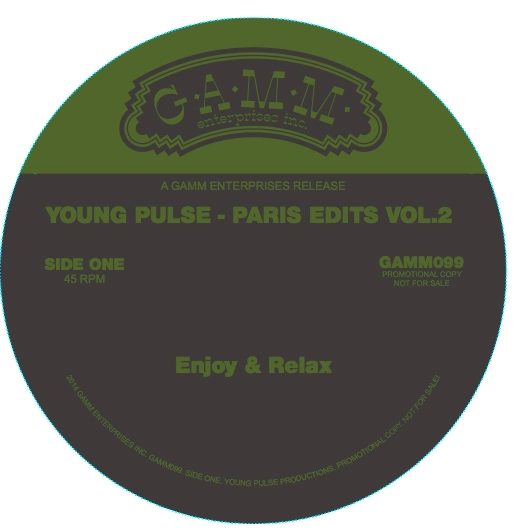 YOUNG PULSE / PARIS EDITS VOL.2