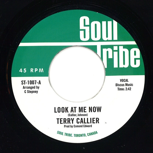TERRY CALLIER / テリー・キャリアー / LOOK AT ME NOW / ORDINARY JOE