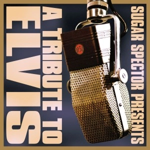 V.A. / オムニバス / A TRIBUTE TO ELVIS