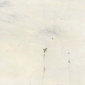 ROB MAZUREK / ロブ・マズレク / ALTERNATE MOON CYCLES